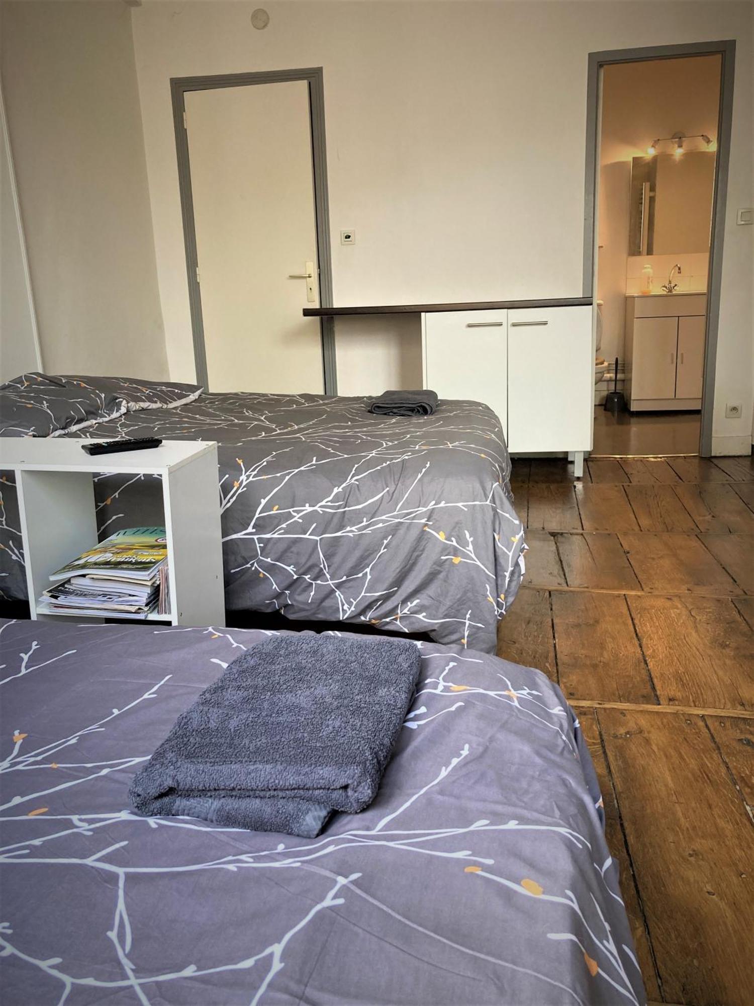 Studio Double 21 Centre De Limoges Wifi エクステリア 写真